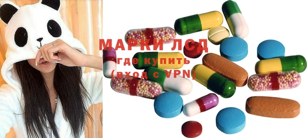 ПСИЛОЦИБИНОВЫЕ ГРИБЫ Горно-Алтайск