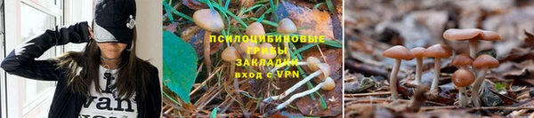 мефедрон мука Гусиноозёрск
