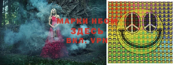 ПСИЛОЦИБИНОВЫЕ ГРИБЫ Горняк