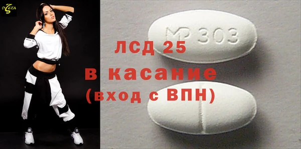 ПСИЛОЦИБИНОВЫЕ ГРИБЫ Горняк