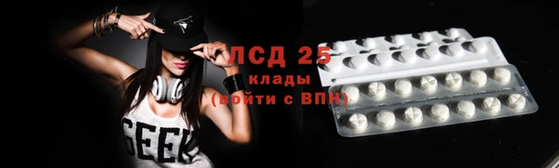 гидропоника Гусев