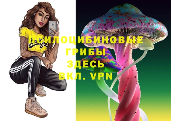 гидропоника Гусев