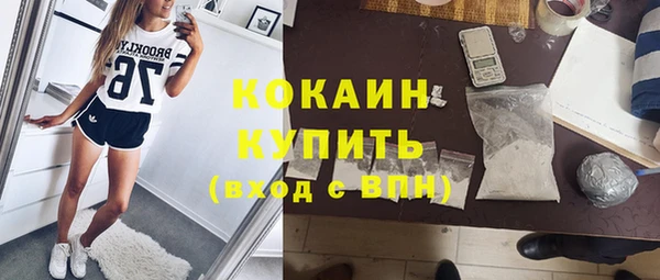 ПСИЛОЦИБИНОВЫЕ ГРИБЫ Горно-Алтайск